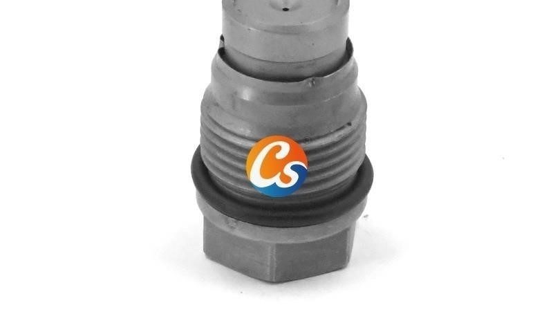 Quality Pressure Limiting Valve 1 110 010 029 Pressure Relief Valve from china suppliers