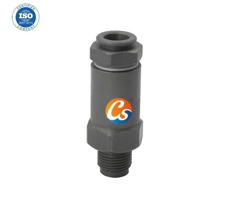 High quality Common Rail Pressure Release Valve 1 110 010 035 Fuel Pressure Relief Valve