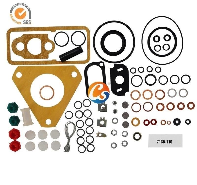 dp200 pump head rebuild kit 7135-277H